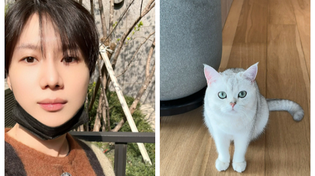 Taemin SHINee Pamer Kucing Baru